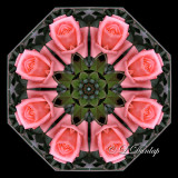 27. Soft Pink, Textured Rose Kaleidoscope