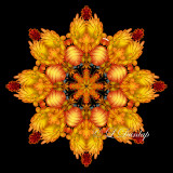 ** Golden Autumn Chrysanthemum Kaleidoscope