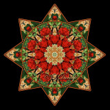 5. Holiday Rose With Gold Design Fabric, Circle In Star Kaleidoscope