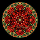 4. Holiday Rose With Gold Design Fabric 14 Kaleidoscope