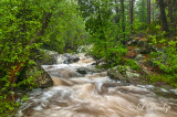 ** 4.3 - Duluth Parks: Tischer Creek In Spring