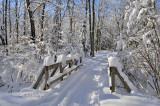 Winter:  Pattison Park Ski Trail