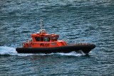 Pilot boat Waitemata Harbour Auckland.