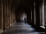 Cloister at the Dom