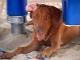 Mouth full of sand again