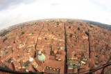 Bologna