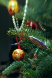 IMGP8092.JPG