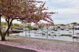 340, Harbor Island Park, Mamaroneck