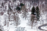 472, Croton Gorge Park