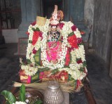 IMG_5166.JPG