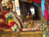 IMG_5710-KrishnaThrushnaaThathvam-Sri Alwar Purappadu.JPG