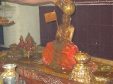 IMG_5877.JPG