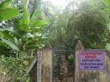 DSC00408-Nandavanam.JPG