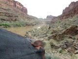 Looking from the petroglyphs to our camp