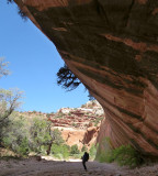 Alcove magic