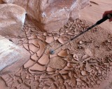 Dried mud in the stream bed