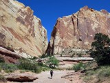Muley Twist
