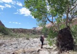 Halls Creek with flood debris