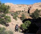 Descending into Stevens Canyon