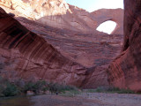 Martina dwarfed by Stevens arch