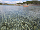 June 16 kayaking from Plockton- lovely clear water
