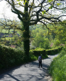 Part II Littlebeck North York Moors