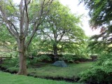 June 2016 Eller Beck Swaledale on the English Coast to Coast