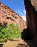 We left our backpacks at the confluence and hiked up Buckskin Gulch 