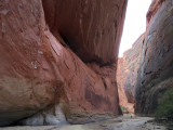 Paria canyon