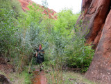 A side trip up lush Wrather canyon