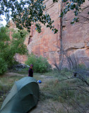 Oct 2016 Utah Escalante-Death Hollow: Camp on the escalante river