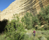 Escalante-Death Hollow: Next day hiking on down the Escalante