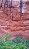 Silver Falls-Choprock Loop: Choprock Canyon - Poison ivy fork
