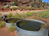 Silver Falls-Choprock Loop: Two good water tanks on Moody dirt road opposite Colt Mesa