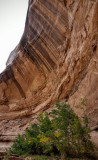 Horseshoe canyon