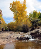 Salt Creek canyon Pool near Kirk's cabin