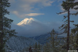 A winter Mt Rainier