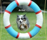 Arthur.jpg
