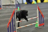 PAW_1033.jpg