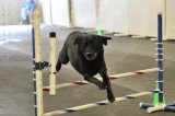PAW_1039.jpg