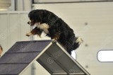 PAW_1160.jpg