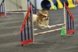 PAW_0917.jpg