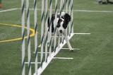 LTT_4245.jpg