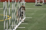 LTT_4257.jpg
