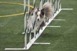 LTT_4279.jpg