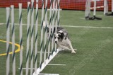 LTT_4293.jpg