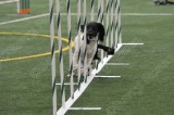 LTT_4316.jpg