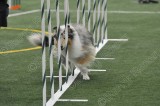 LTT_4328.jpg