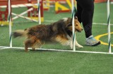 LTT_5210.jpg