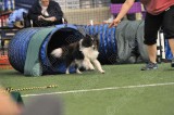 LTT_5217.jpg